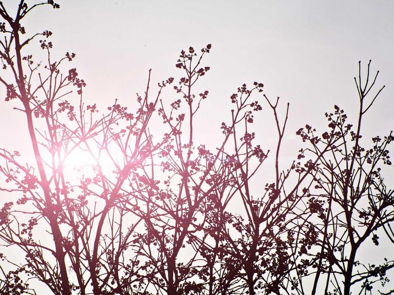 sudoku tablet version screenshot 3