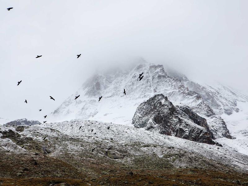 sudoku tablet version screenshot 4